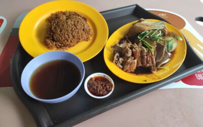 Review: Zan Ji Ducks (Singapore)