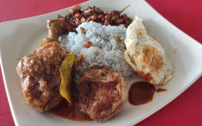 Review: Wan Xiang Indonesian Curry Rice Nasi Lemak (Singapore)