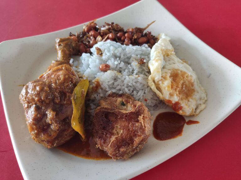 Wan Xiang Indonesian Curry Rice Nasi Lemak: Rendang Chicken, Begedil, Fried Egg, Ikan Bilis & Peanuts